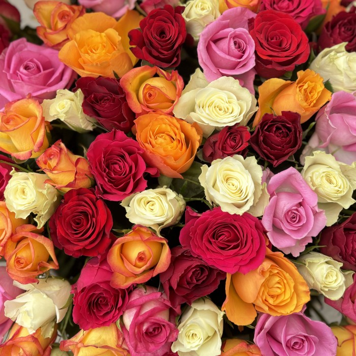 101 роза в корзине яркий MIX